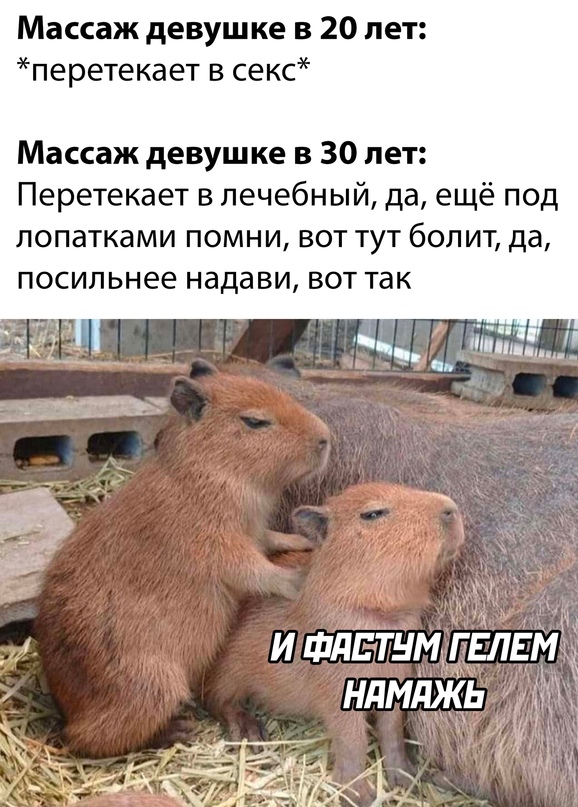 Весёлый полтишок 30.07.23