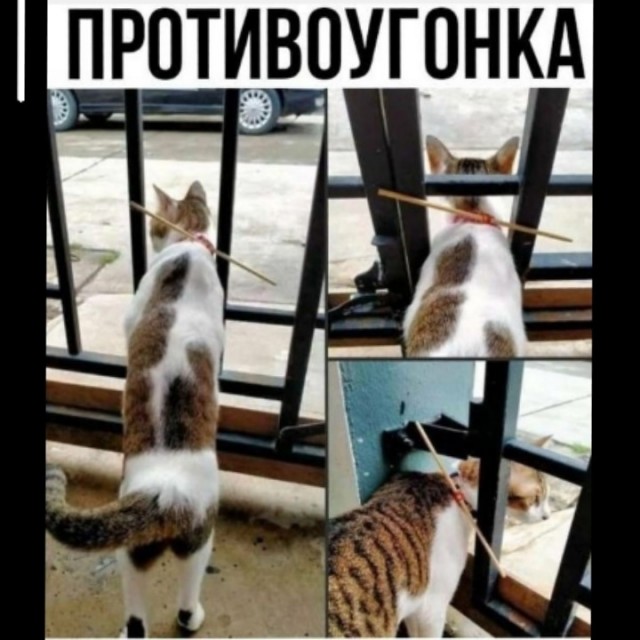 Так себе картинки 01.08.23