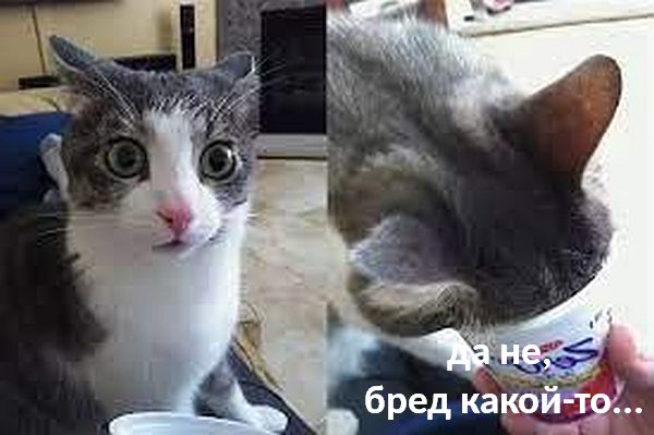 «Поражение Запада на украинском направлении неизбежно!»