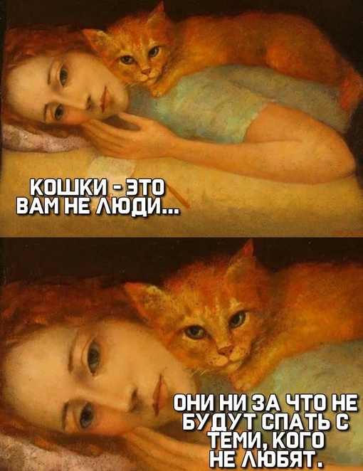 Мемчики и картинки для настроения и подумать