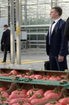 Путин рассказал о рекордных показателях российского экспорта агропродукции