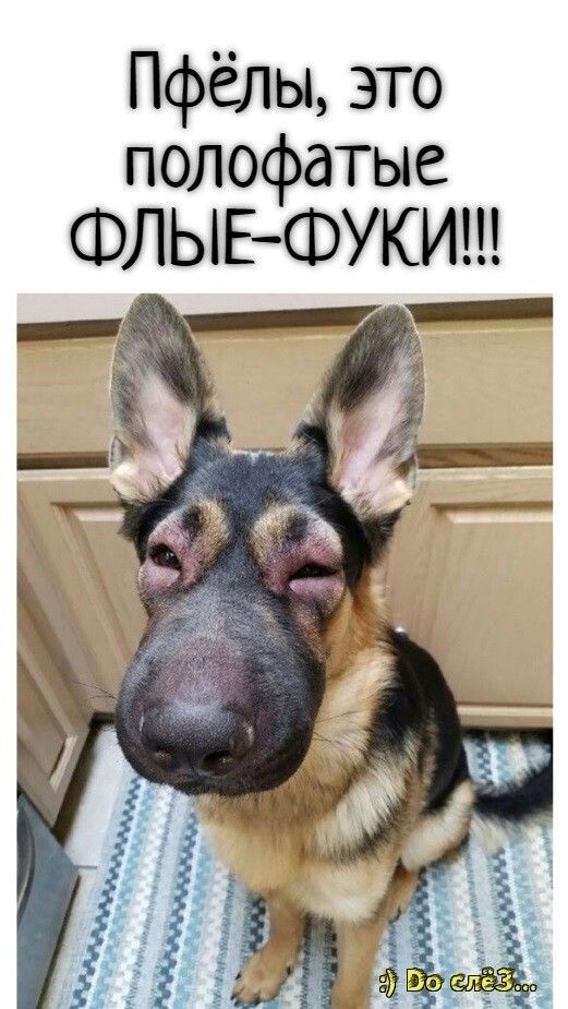 Ситуация