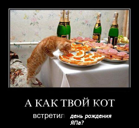 С ДНЕМ РОЖДЕНИЯ, ЯП!