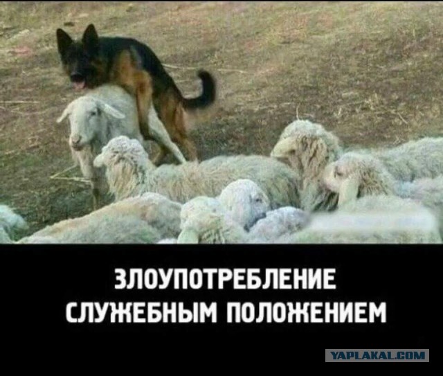 Командир