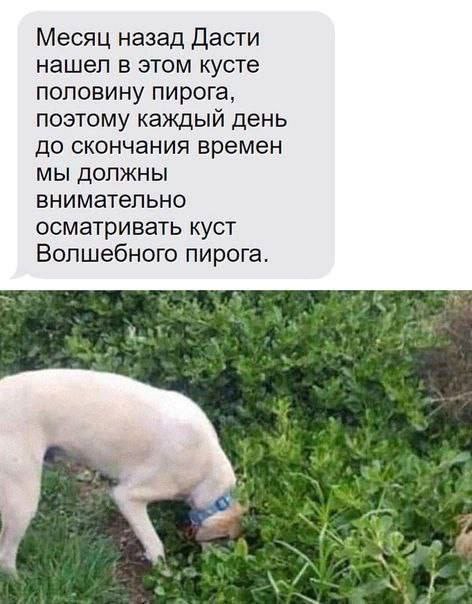 Сборник бабаянов и т.д. и т.п.