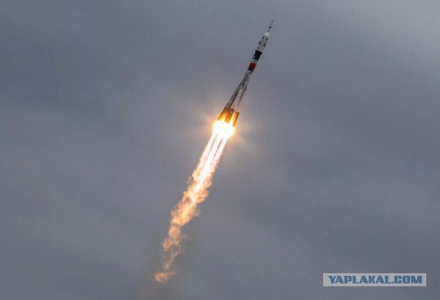 Так себе картинки 24.10.24