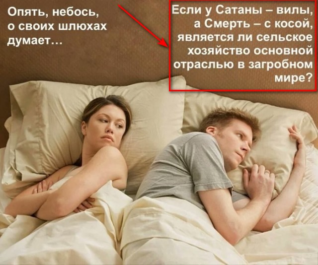 Так себе картинки 12.02.25