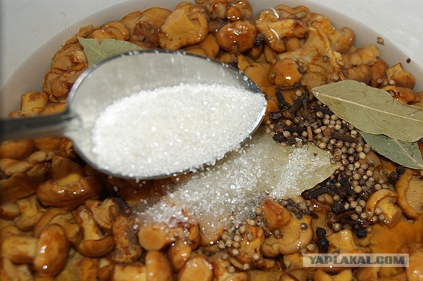 Лисички маринованные, Запасаюсь на зиму