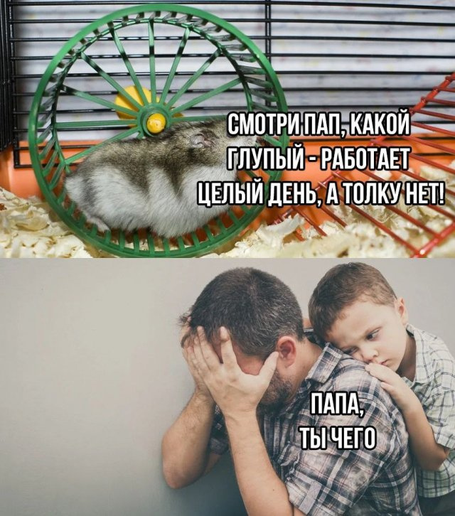 Дочь на тебя жалуется...
