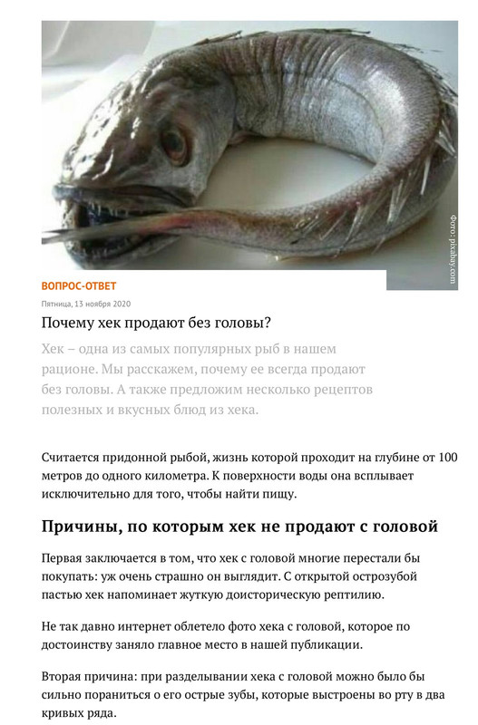 Что скрывает щука: неожиданные факты, которые могут удивить даже бывалых рыбаков