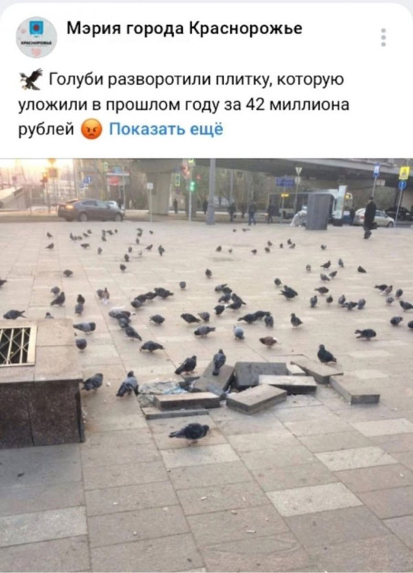 Жипеги и не совсем