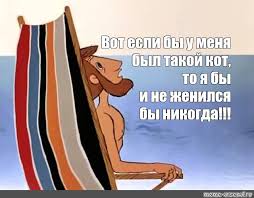 Мама говорила, что съедет от нас, если мы заведем кота