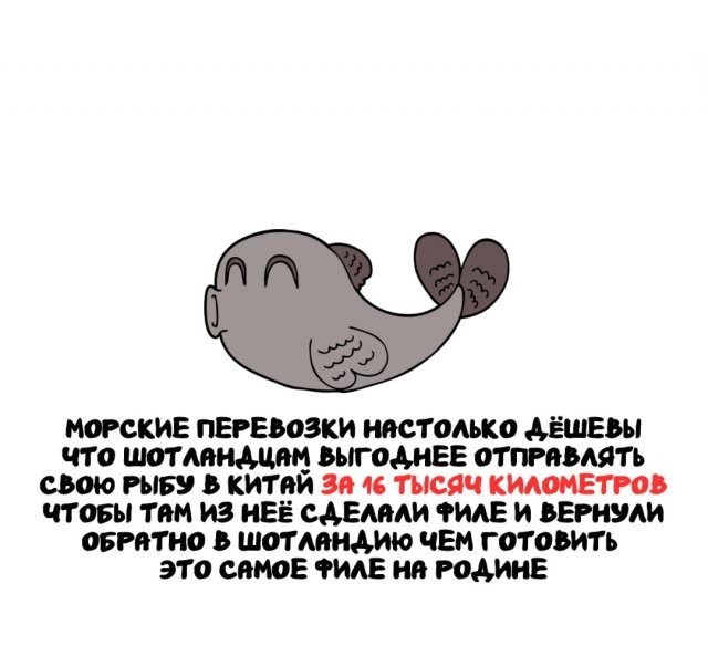 20568210.jpg