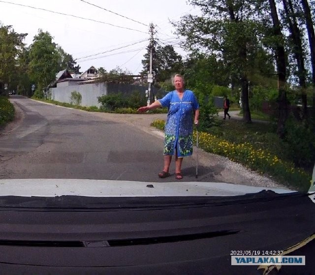 Осторожно, попутчик!