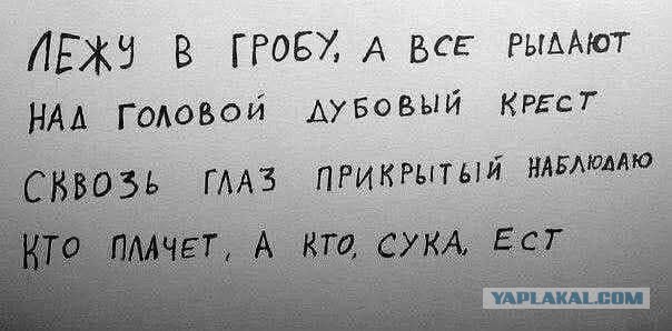 Картинки для деградации 183 (разной степени свежести)