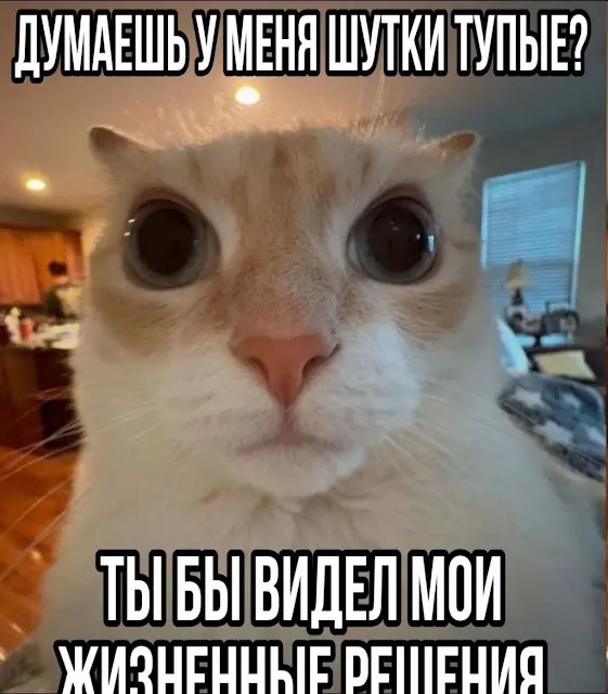 Никакого комплекса у меня нет, я действительно неполноценный!