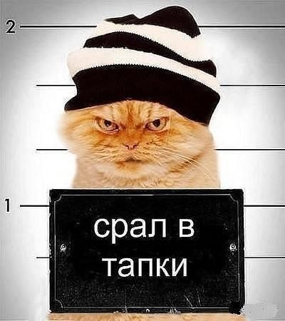 Обычные подозреваемые