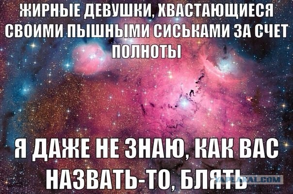 Молодогвардейцы гадят, хамят и угрожают (видео)