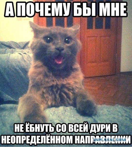 Не про олимпиаду