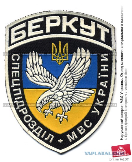 Беркута больше нет