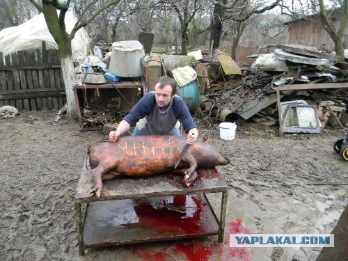 В Донецке и Луганске готовы к штурму.