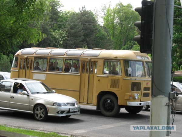 Ташкент в лицах