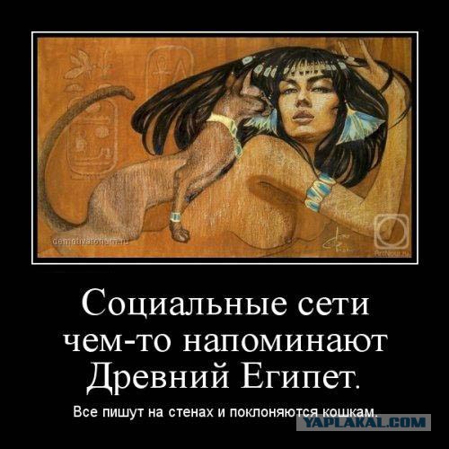 Картинки из интернетов