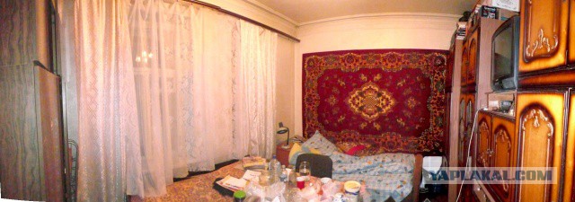 Как купить дачу в Америке