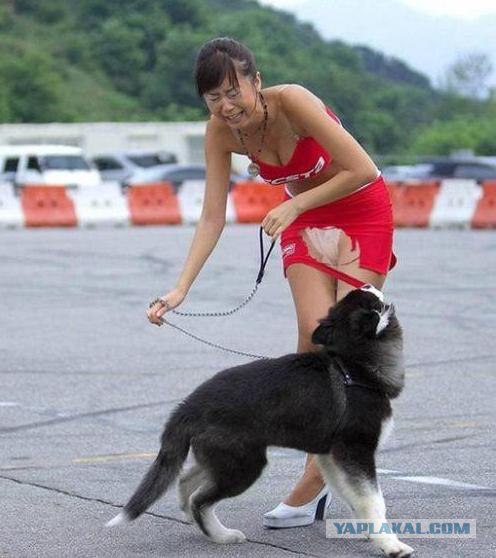 Любовь