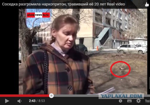 Бабушка vs нарколыги
