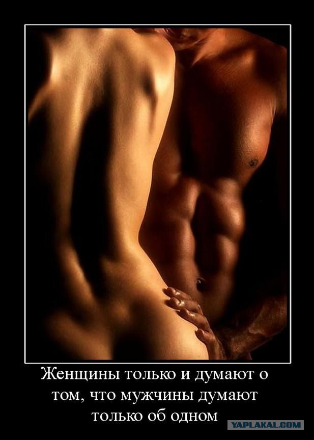 Мужчины хотят только одного!