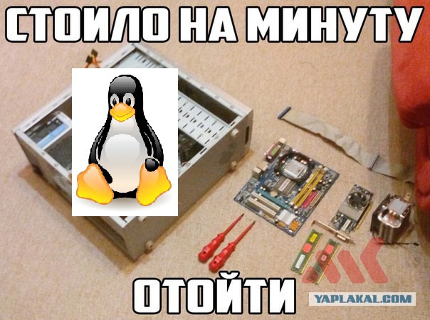 Стоило на минуту отойти