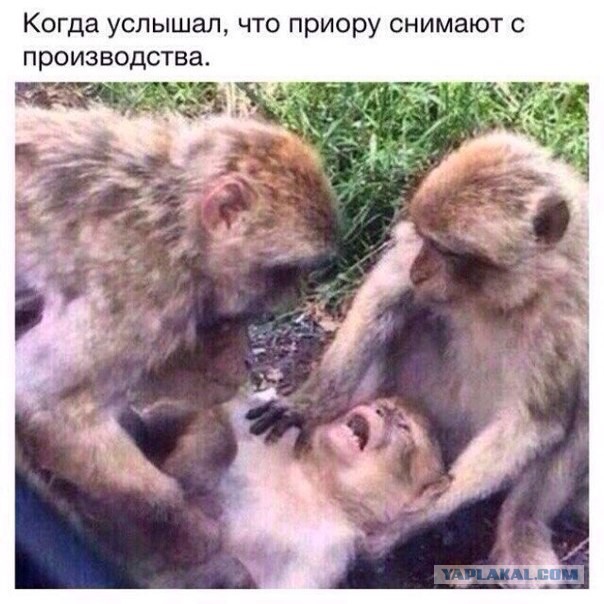 Подборка автоприколов.