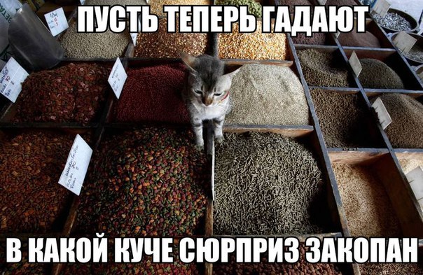 Больше,чем фото 4.