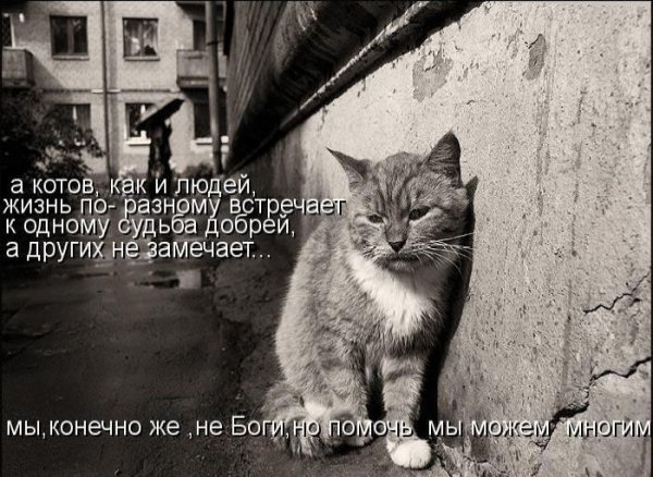 А давайте улыбнёмся