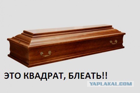 25 удивительных фактов