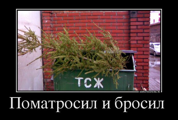 Подборка забавных картинок