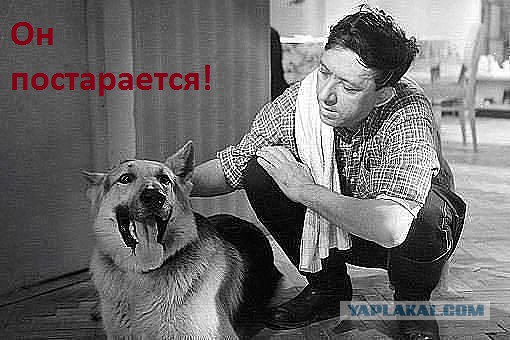 Наши породы собак в Европе