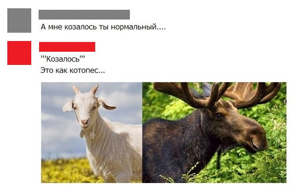 Абсурдный юмор ч.16