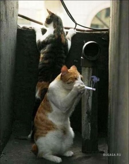 Подборка картинок на среду