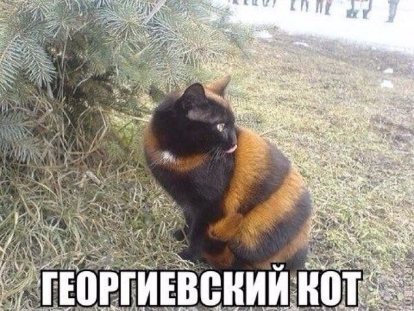 Мохнатые беспредельщики