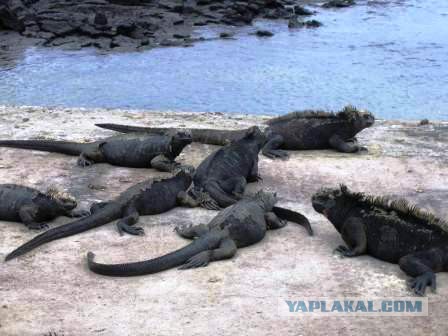 Всем нашим встречам,  увы, разлуки суждены...