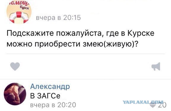 Смешные комментарии из социальных сетей 24.06.2016