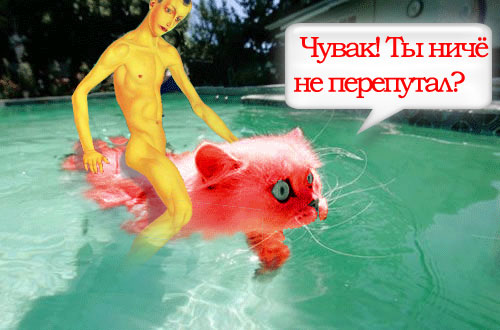 Фотожаба: Офигевший пловец