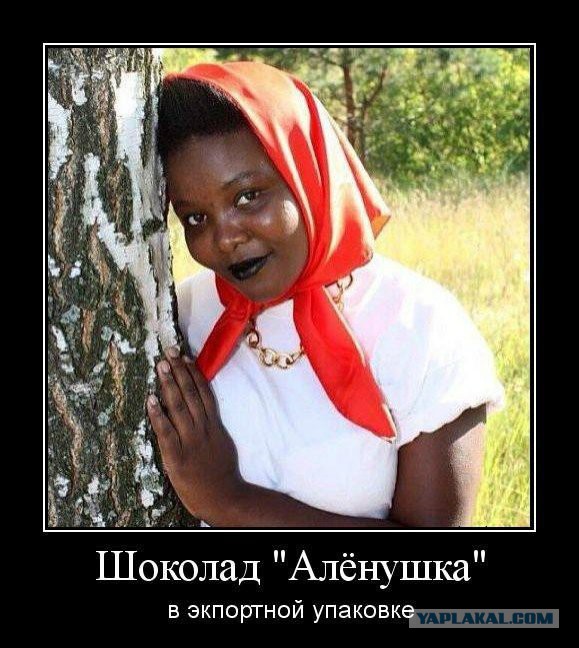 Весёлые картинки