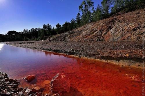 Моменты, запечатлённые на фото и просто позитив 5