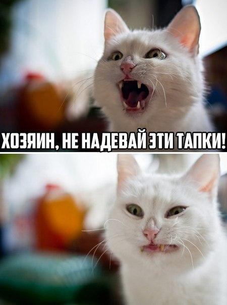 Приколы всякие