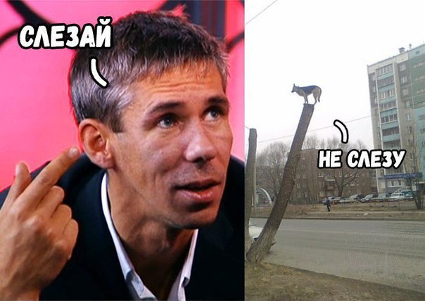 Тёмный юмор к этим выходным