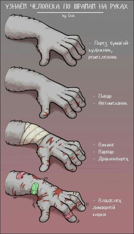 Зря вы это всё...