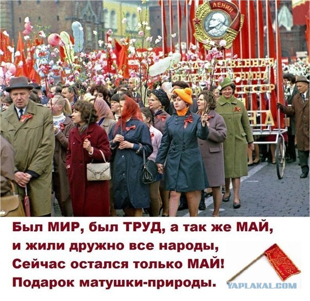 Невзоров беснуется